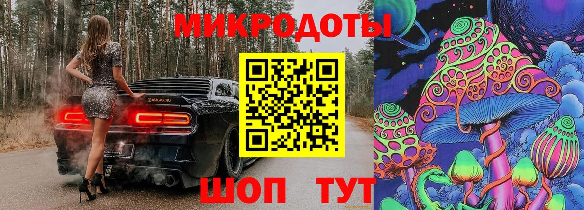 Галлюциногенные грибы Psilocybine cubensis Прокопьевск
