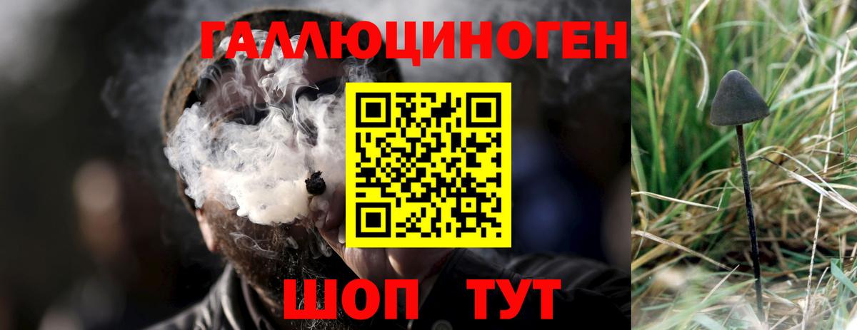 Прокопьевск  наркошоп  Галлюциногенные грибы Psilocybine cubensis  Вход с VPN  Галлюциногенные грибы мухоморы 
